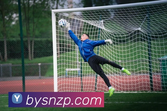 奖项证书